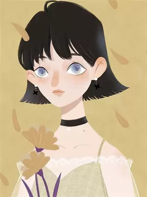 傅岸琛明诗小说